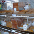 Galvanized welded wire mesh rabbit farming cage